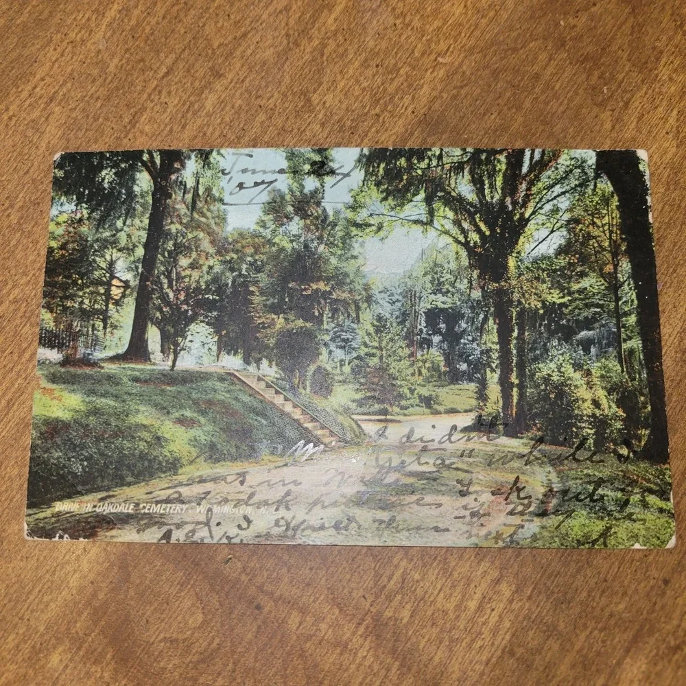Antique‎ 1907 Wilmington NC Oakdale Cemetery Drive Postcard Posted Green 1c...